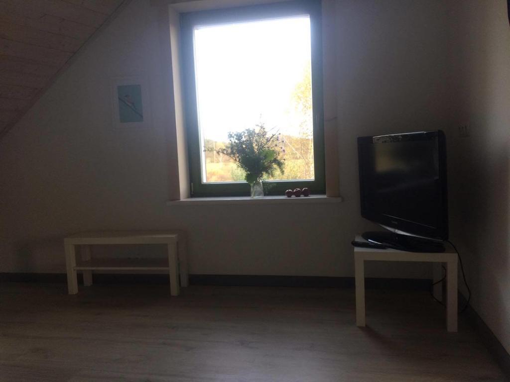 Chamedafne W Puszczy Kampinoskiej Brochów Rom bilde